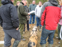 Pig Course Mar 2011_001_1.JPG